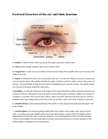 External Structure of the eye and their function.docx